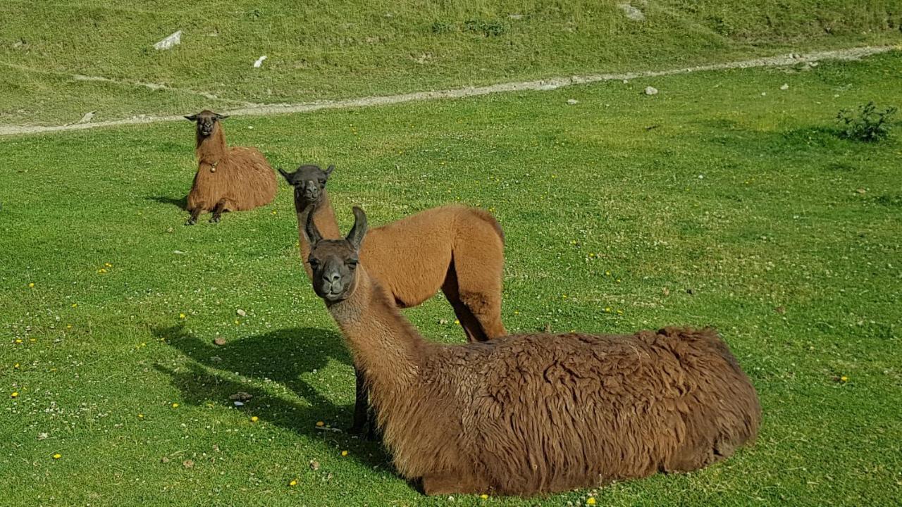 Echappee En Altitude Apartman La Mongie Kültér fotó